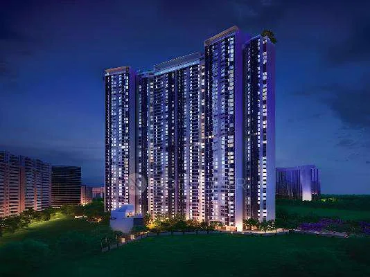 Thane West — photo 13